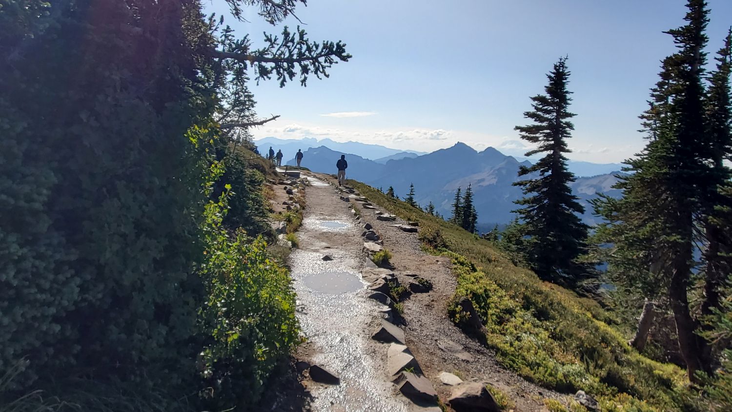 Mount Rainier NP 